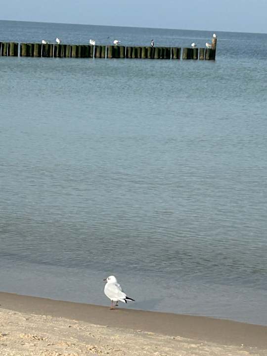 Außenansicht Baltivia Sea Resort