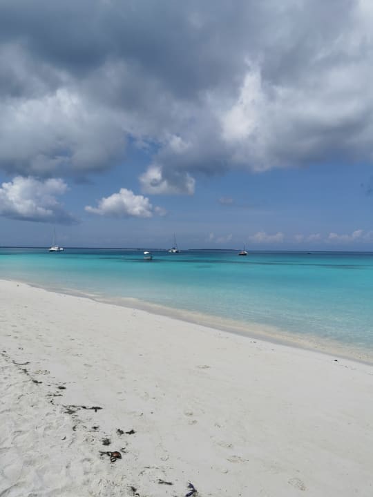 Strand Zuri Zanzibar Hotel & Resort
