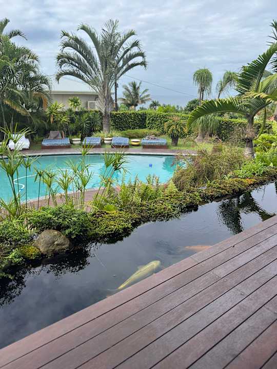 Pool Jakita's Guest house