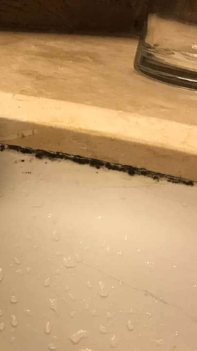 Zimmer Pickalbatros Citadel Resort