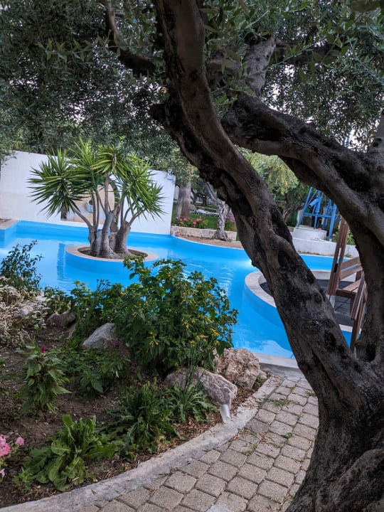 Pool TUI KIDS CLUB Alex Beach