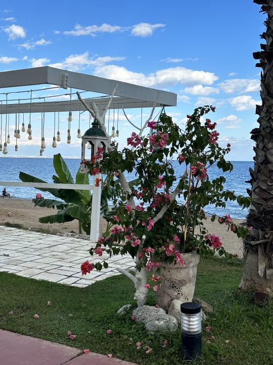 Strand TUI MAGIC LIFE Beldibi +16