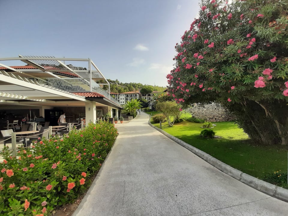 Gartenanlage TUI BLUE Sarigerme Park