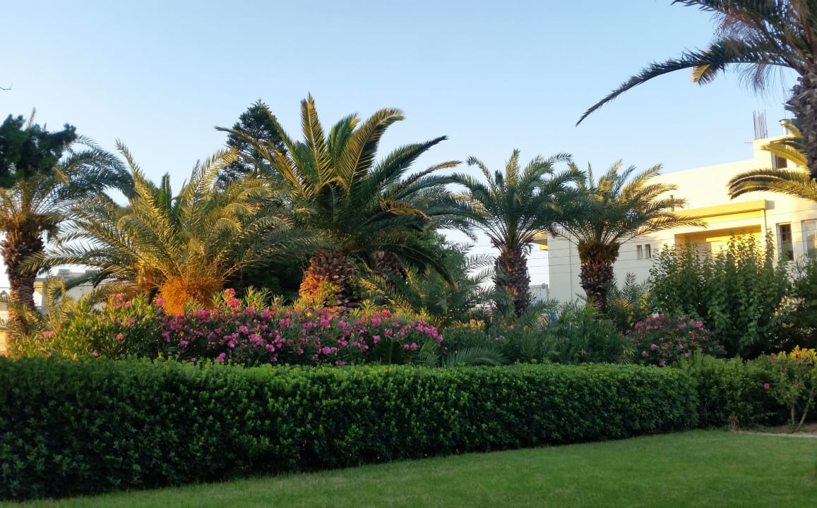 Gartenanlage Hotel Gorgona