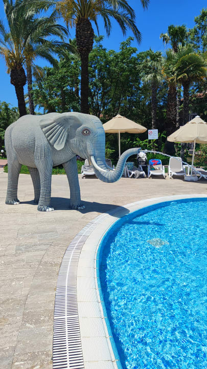 Pool Sunrise Resort Hotel