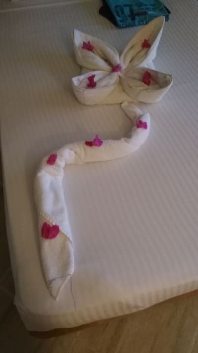 Zimmer Malikia Resort Abu Dabbab