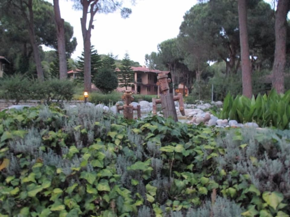 Natur Asteria Family Belek