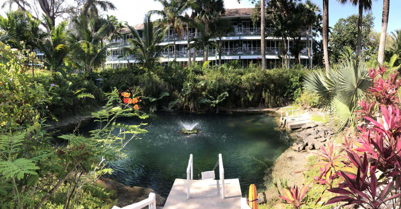 Gartenanlage Couples Negril - Adults only