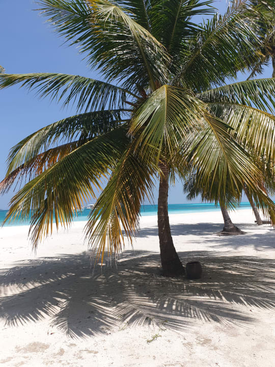 Strand Meeru Maldives Resort Island