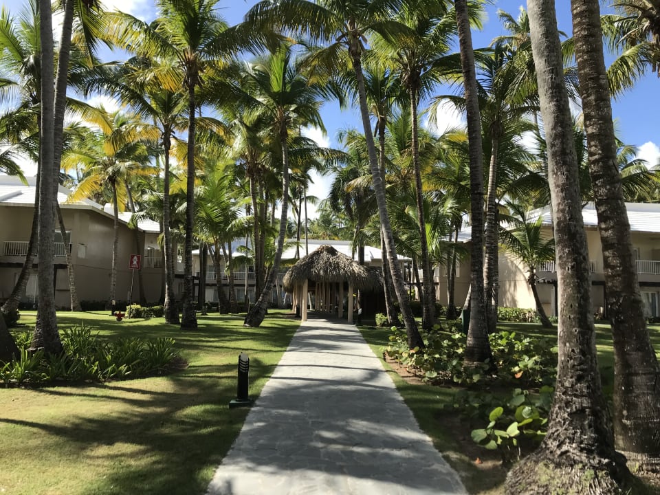 Gartenanlage Hotel Grand Palladium Palace Resort, Spa & Casino