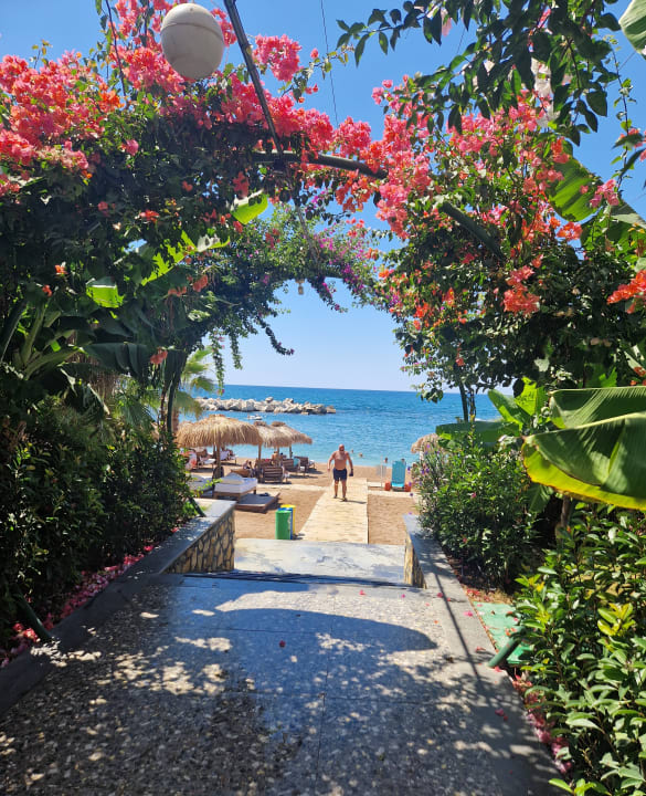 Sonstiges Rubi Platinum Sign