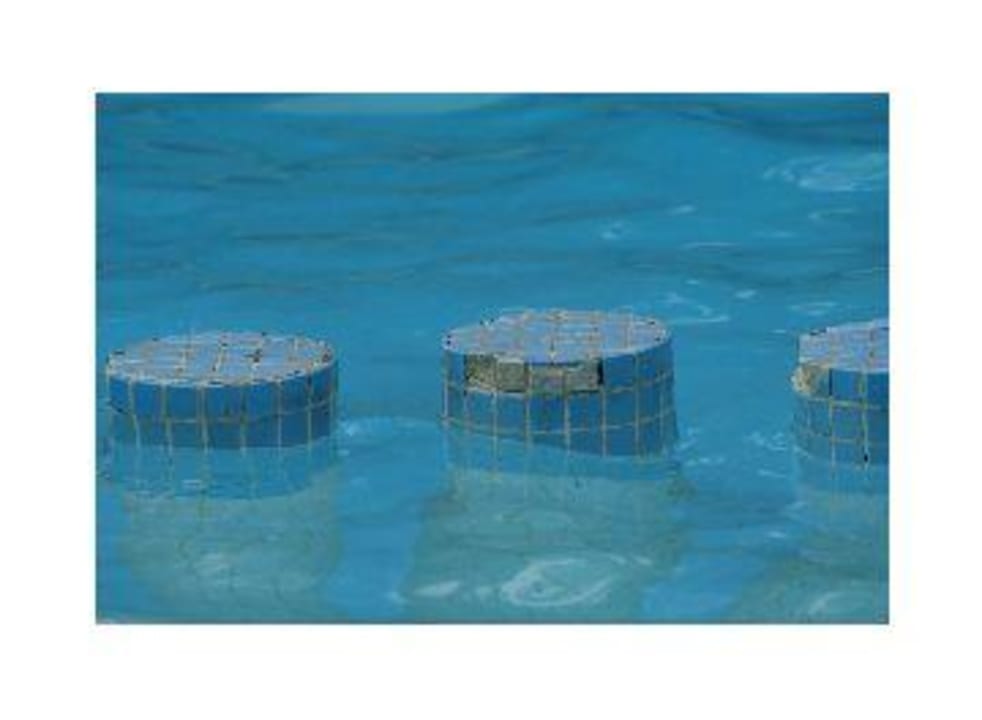 Kinderpool Grand Palladium Select Bávaro Resort & Spa