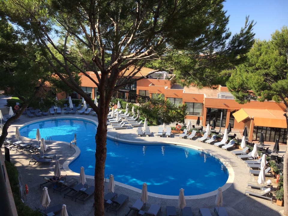 Pool Protur Turo Pins Hotel