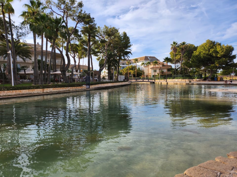Gartenanlage allsun App.-Hotel Orquidea Playa
