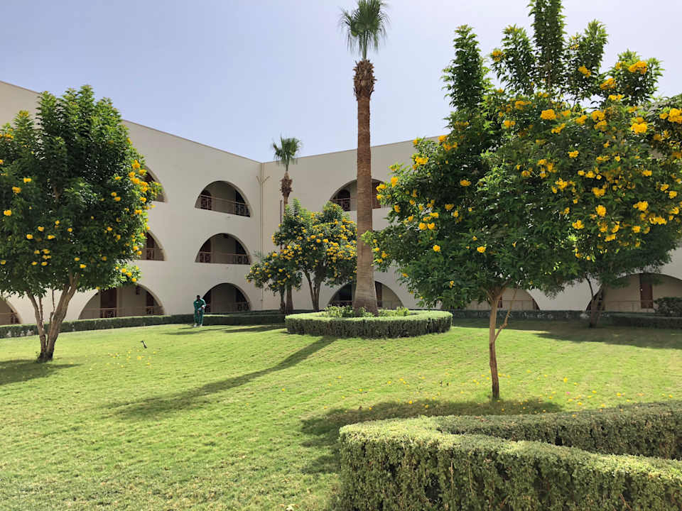 Gartenanlage Desert Rose
