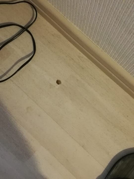 Zimmer Asteria Collection Side