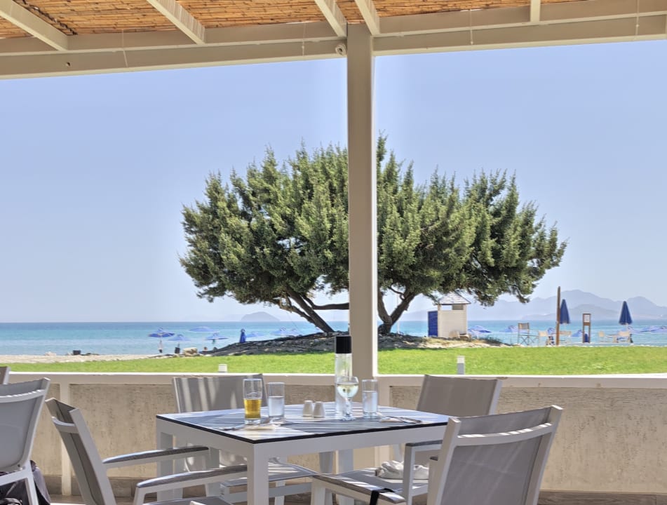 Gartenanlage Porto Bello Royal