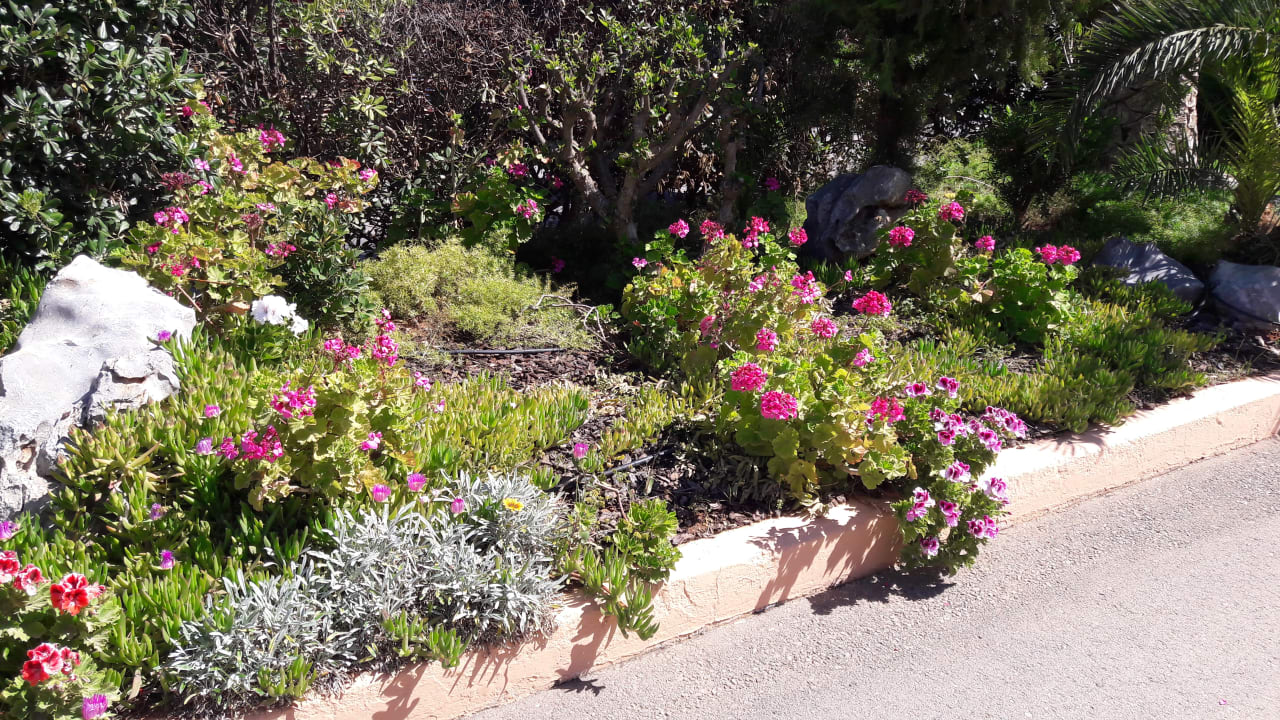 Außenansicht Anissa Beach & Village