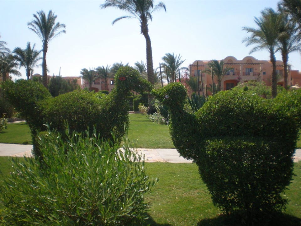 Einfach super Hotel JAZ Makadi Star & Spa