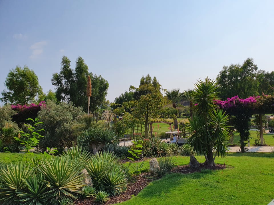 Gartenanlage TUI BLUE Sarigerme Park