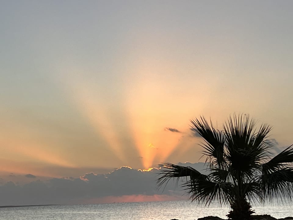 Ausblick Shams Alam Beach Resort