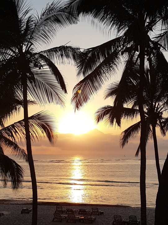 Sonnenaufgang Resort Amani Tiwi Beach