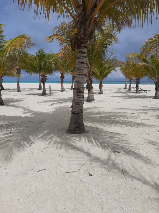 Strand Meeru Maldives Resort Island