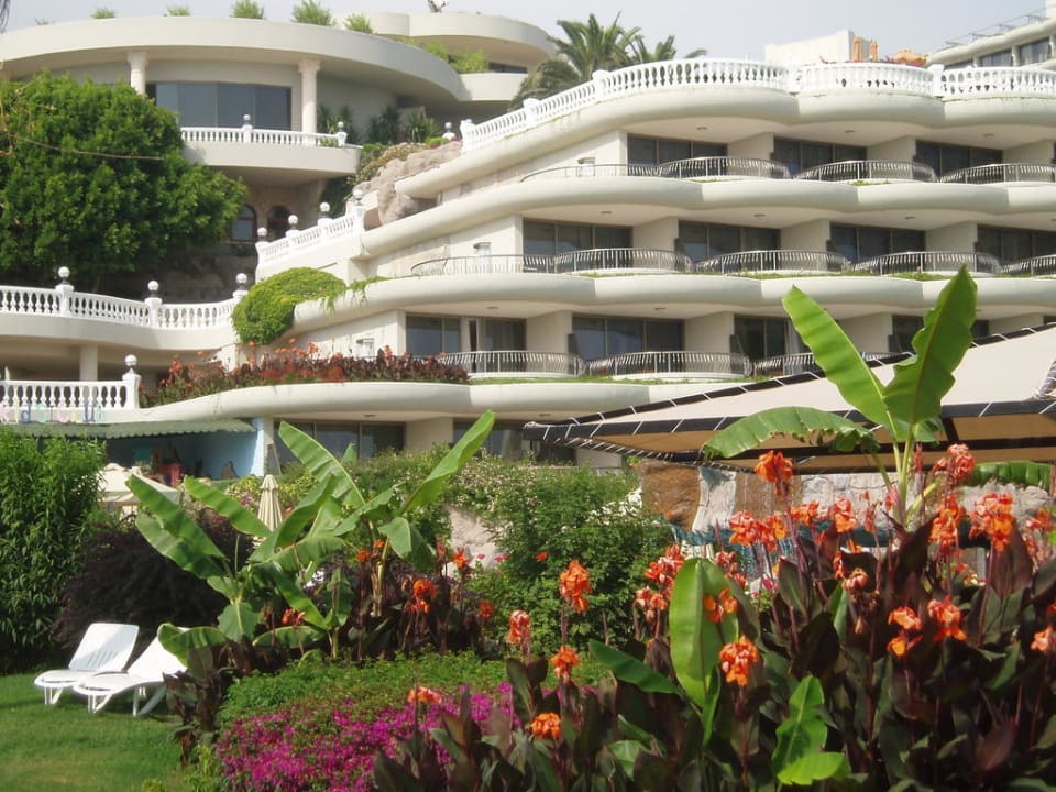 The terrace rooms with large balcony Sunrise Queen Luxury Hotel