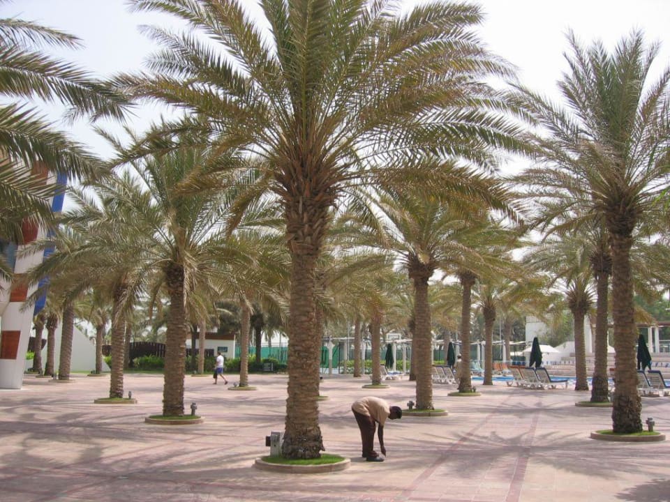 Gartenanlage Jumeirah Beach Hotel