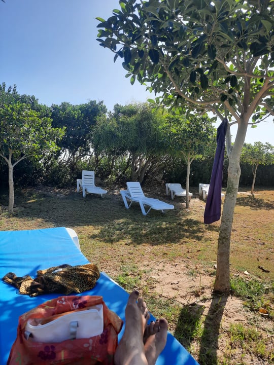 Gartenanlage Mahdia Palace Thalasso