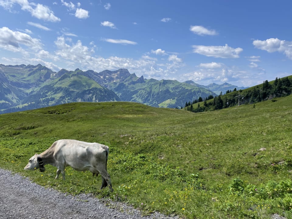 Ausblick Alpen Hotel Post