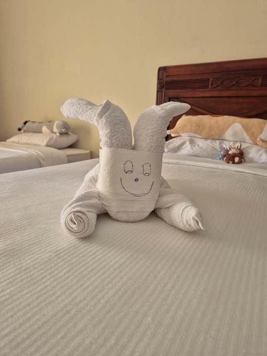 Zimmer Imperial Shams Abu Soma