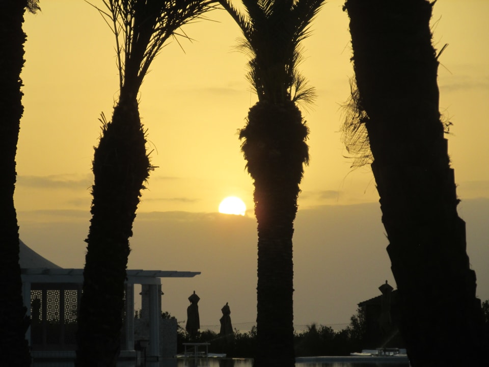 Gartenanlage Iberostar Waves Averroes