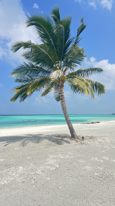 Strand Le Meridien Maldives Resort & Spa