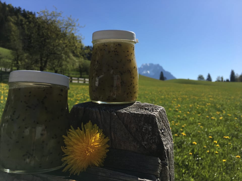 Gastro Pension-Biobauernhof Hagenhof