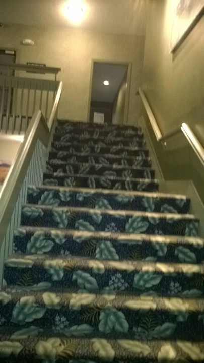 So ein schöner Teppich Town & Country Inn & Resort Gorham