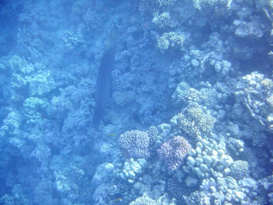 Strand Grand Waterworld Makadi