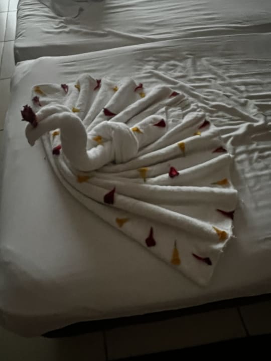 Zimmer Jaz Dar EL Madina