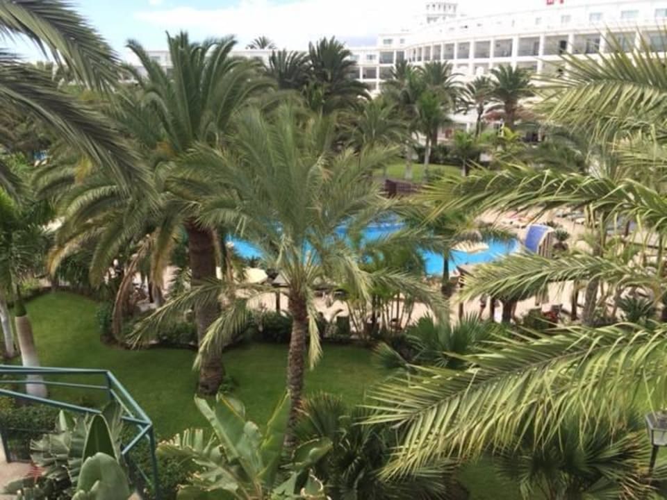 Pool und Garten Hotel Riu Palace Maspalomas Adults Only