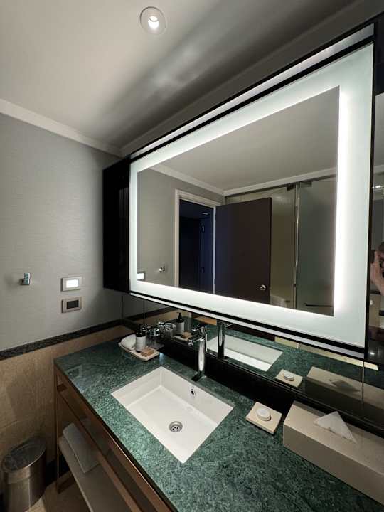 Zimmer Hotel Hilton Buenos Aires