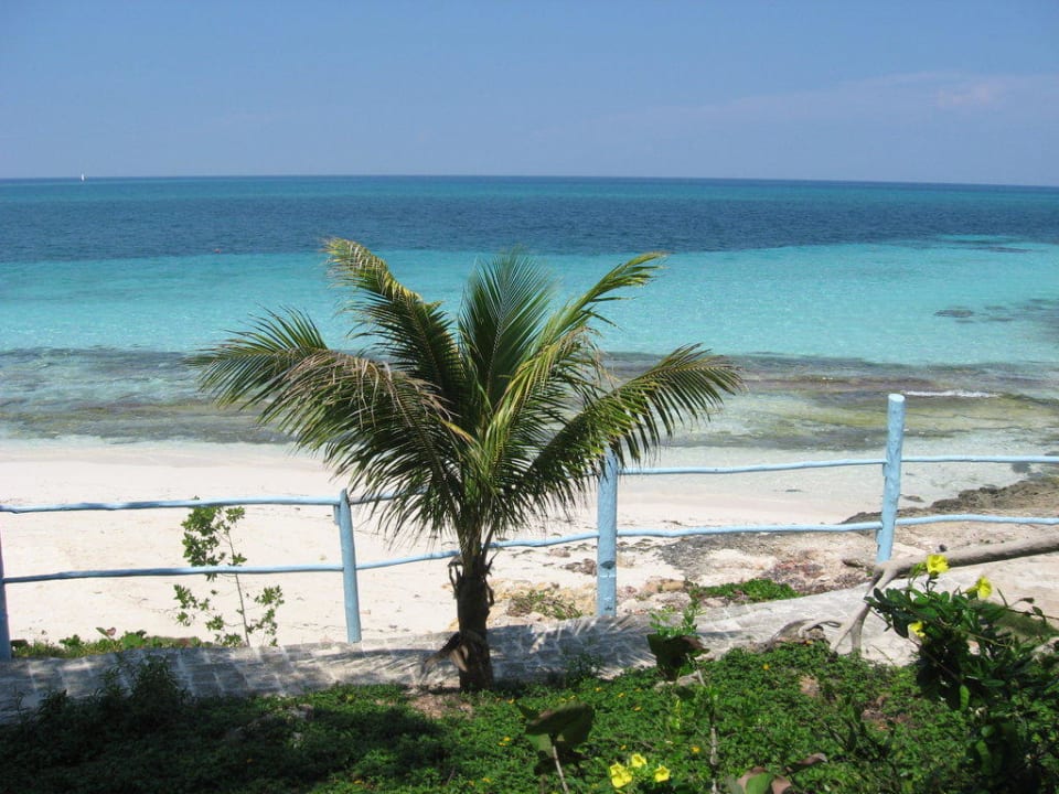 Einfach ein Traum Paradisus Rio de Oro Resort & Spa - Adults only