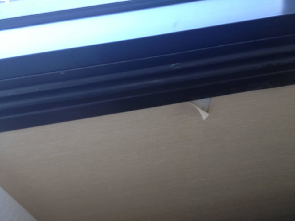 Mold Hotel Doubletree Guest Suites Raleigh Durham