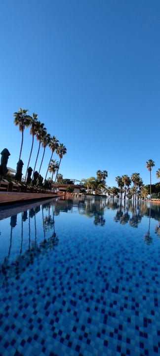 Pool Acanthus Cennet Barut Collection