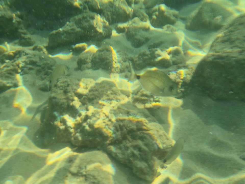 Strand VONRESORT Golden Coast