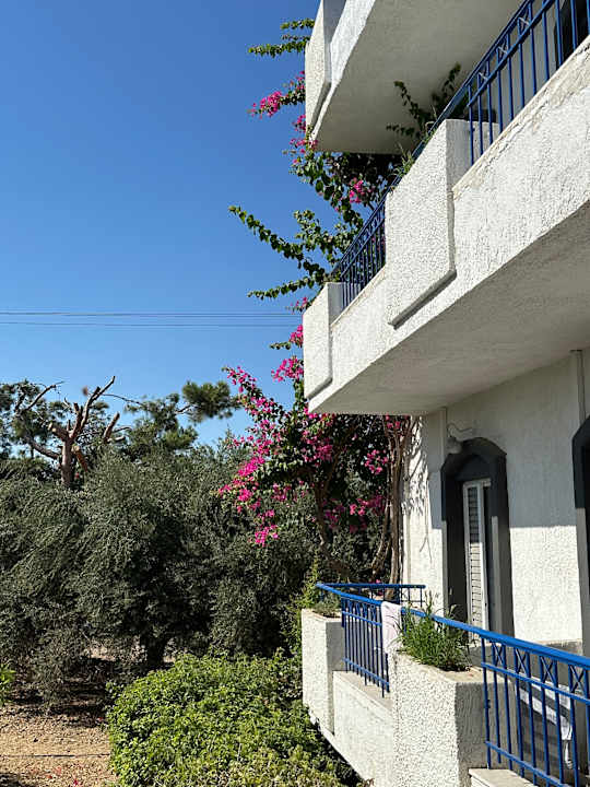 Sonstiges Hotel Gorgona