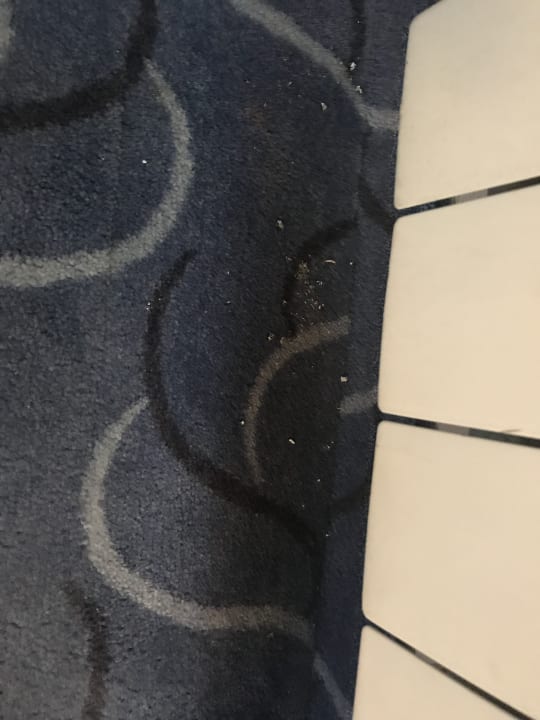 Zimmer C-Hotels Club House