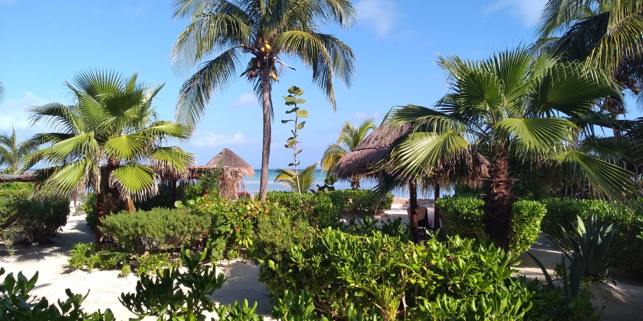 Gartenanlage Hotel Villas Flamingos