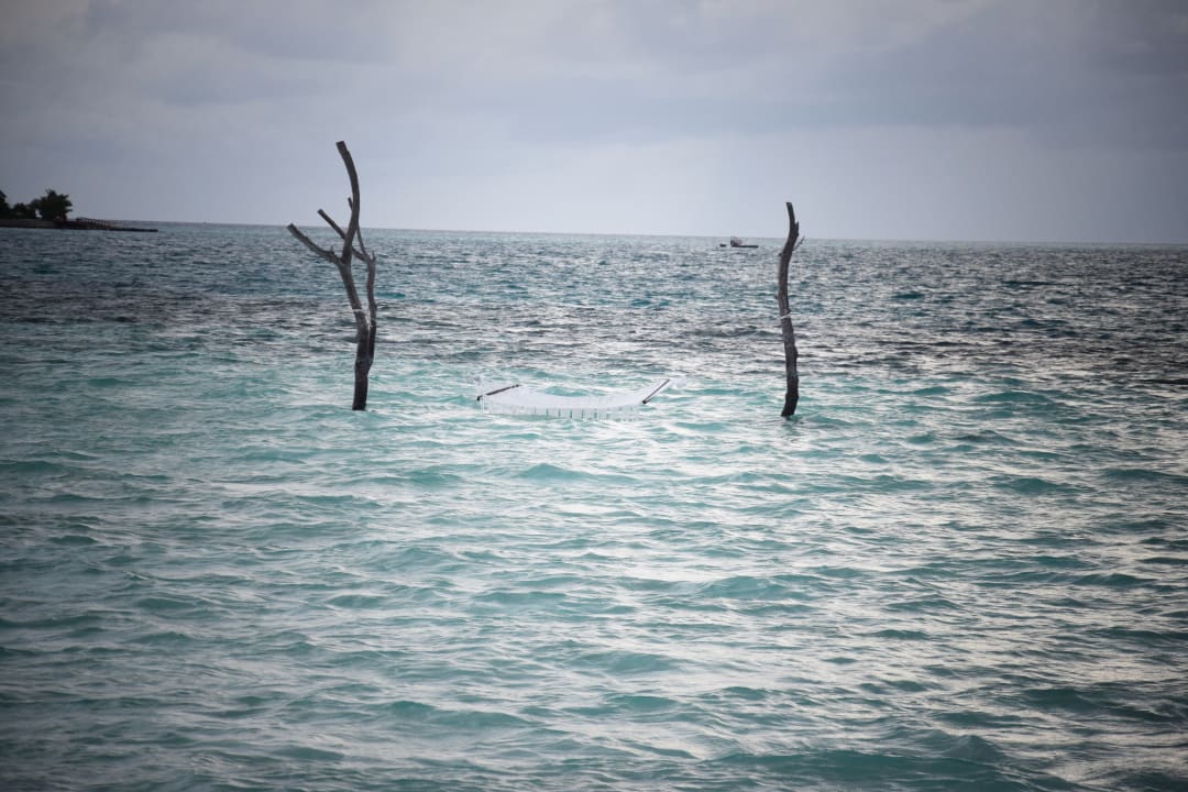 Ausblick Sun Siyam Vilu Reef
