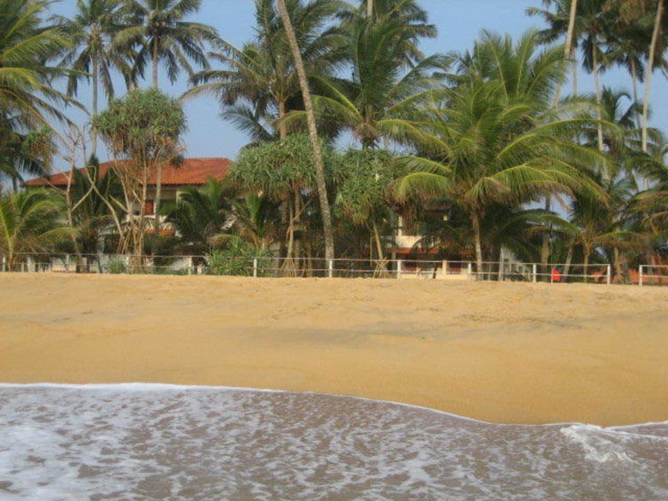 Blick vom Meer zum Hotel Mermaid Hotel & Club