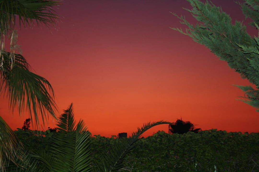 Garten Hotel Orfeus Park